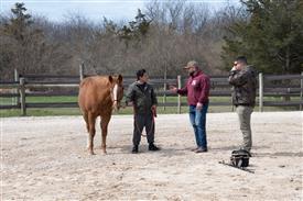 LR-WRF 0402026 Retreat-3237